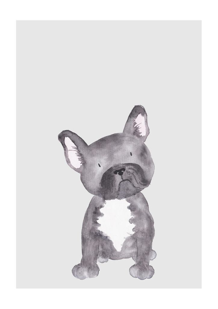 Poster - Lil Dog 21x30 - Dear Sam