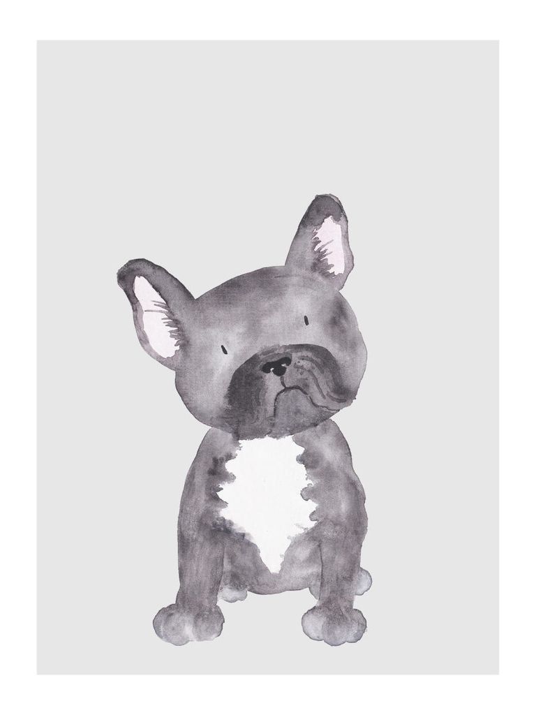 Poster - Lil Dog 30x40 - Dear Sam