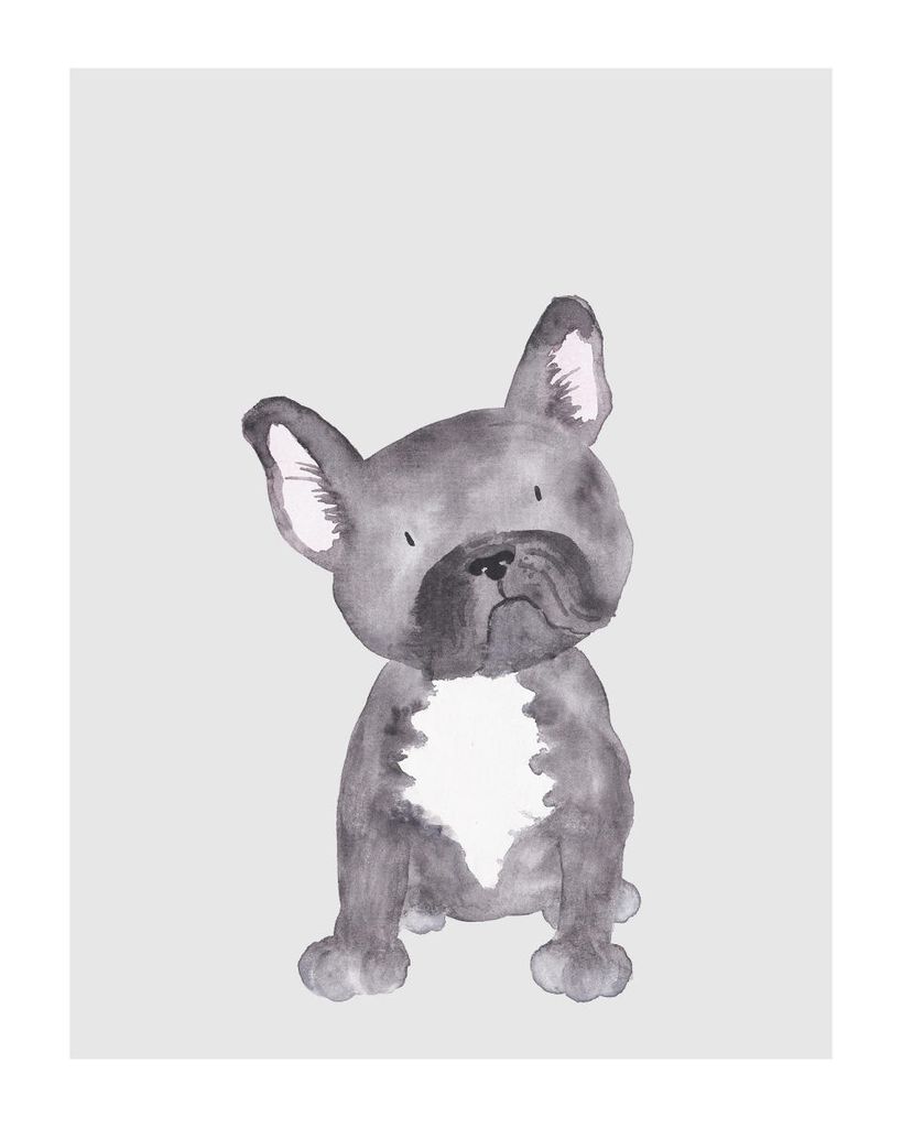 Poster - Lil Dog 40x50 - Dear Sam