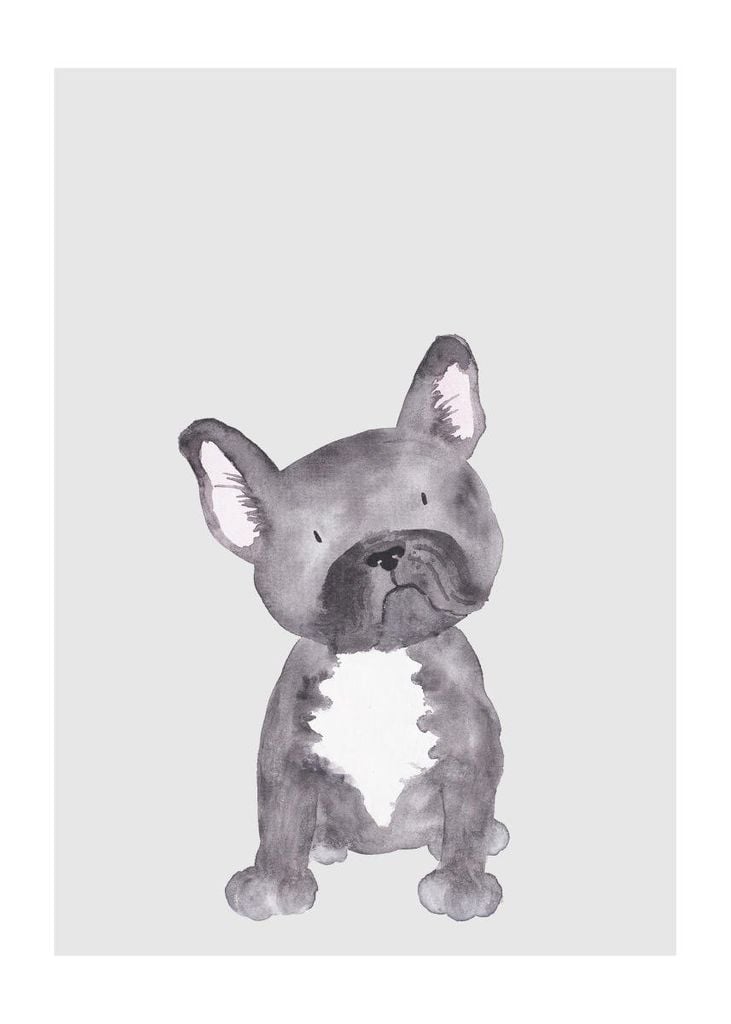 Poster - Lil Dog 50x70 - Dear Sam