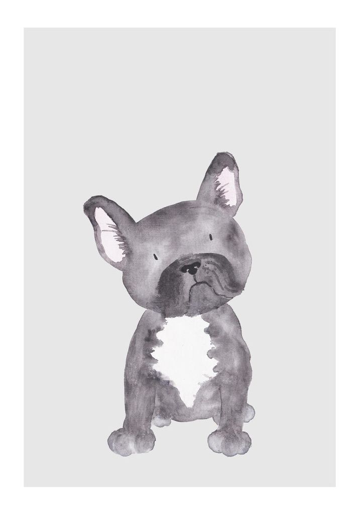 Poster - Lil Dog 70x100 - Dear Sam