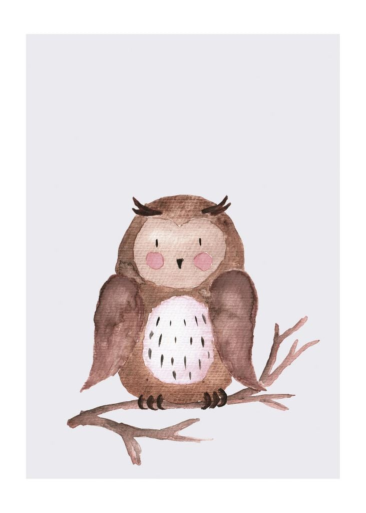 Poster - Lil Owl 50x70 - Dear Sam