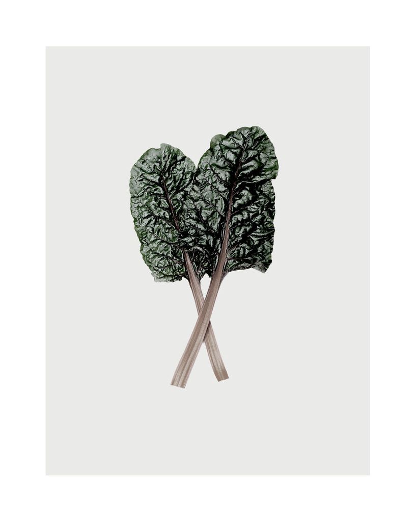 Plakat - Mangold_leaf 40x50 - Dear Sam