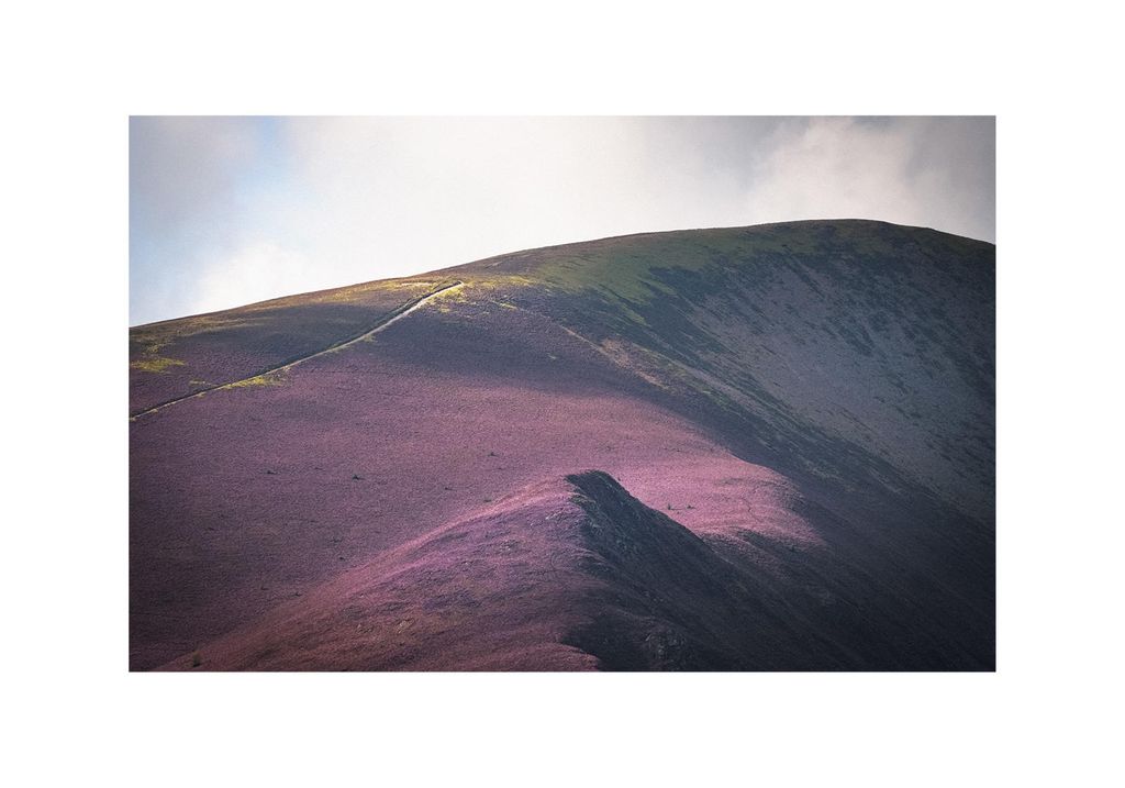 Poster - Mountain Majestic 100x70 - Dear Sam