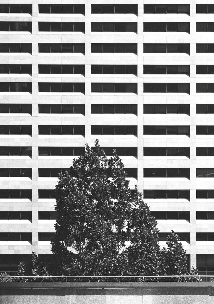 Poster - Nature Culture 21x30 - Dear Sam