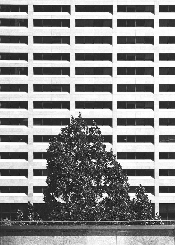 Poster - Nature Culture 50x70 - Dear Sam