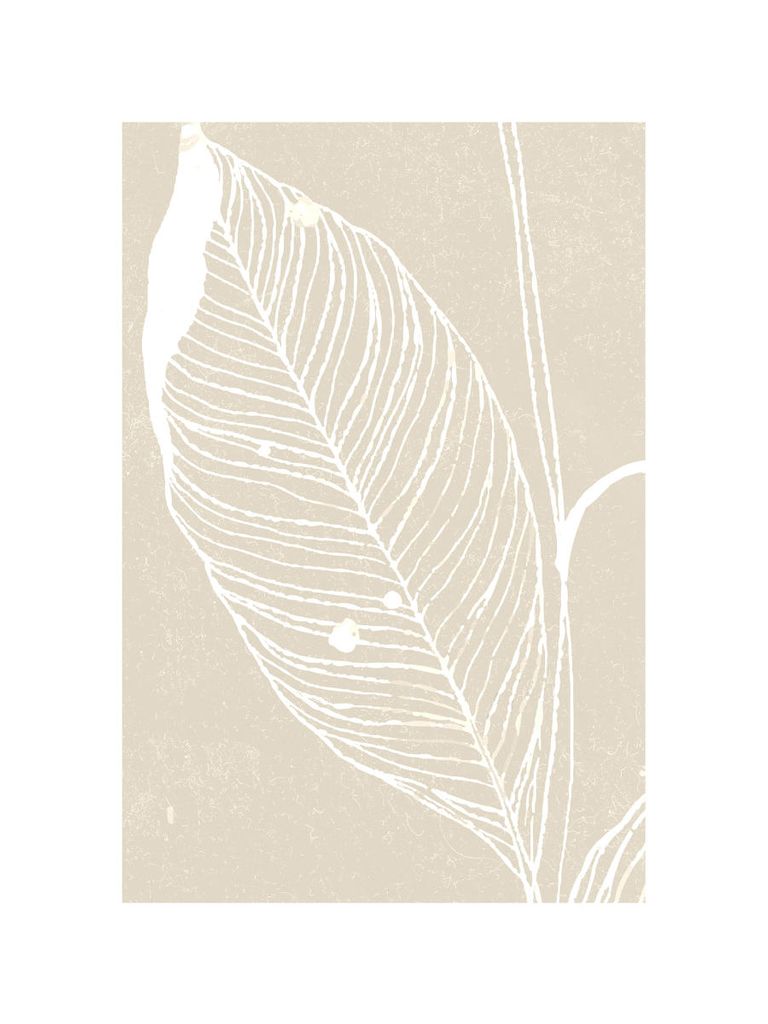 Poster - Neutral Plant 1 30x40 - Dear Sam