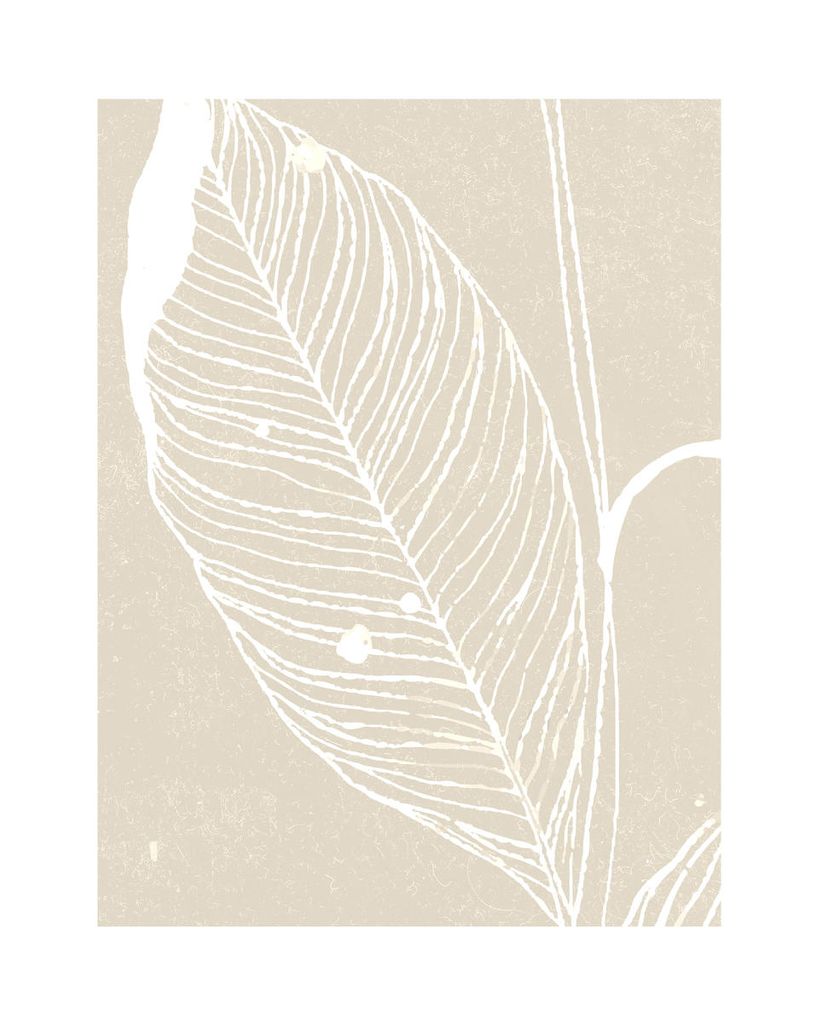 Poster - Neutral Plant 1 40x50 - Dear Sam