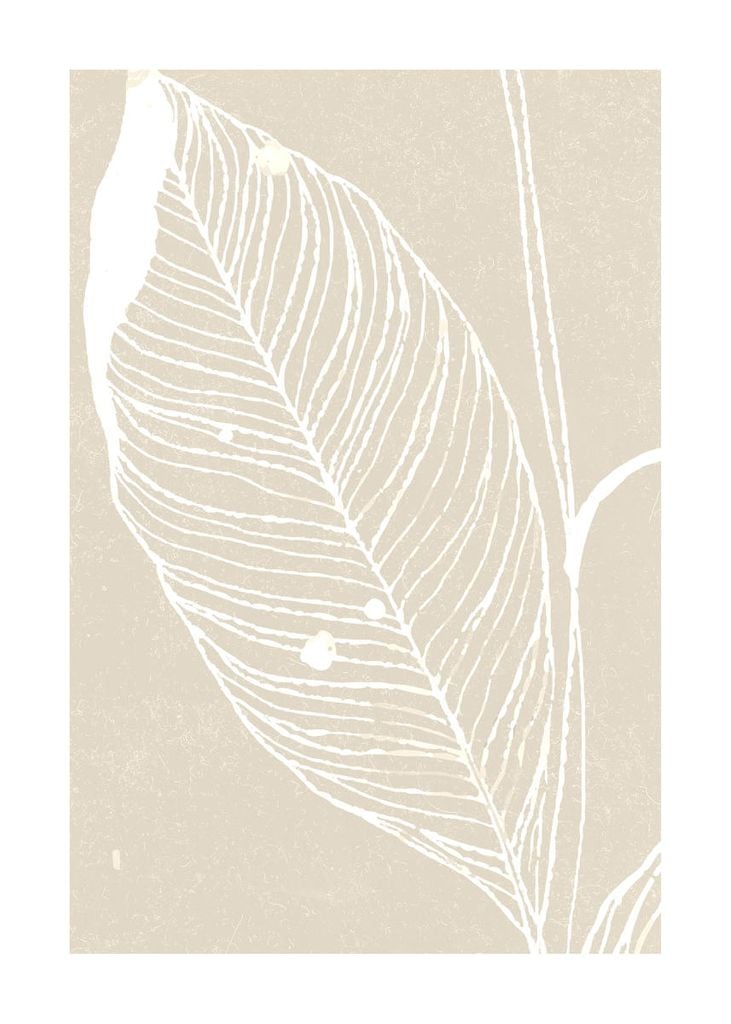 Poster - Neutral Plant 1 50x70 - Dear Sam
