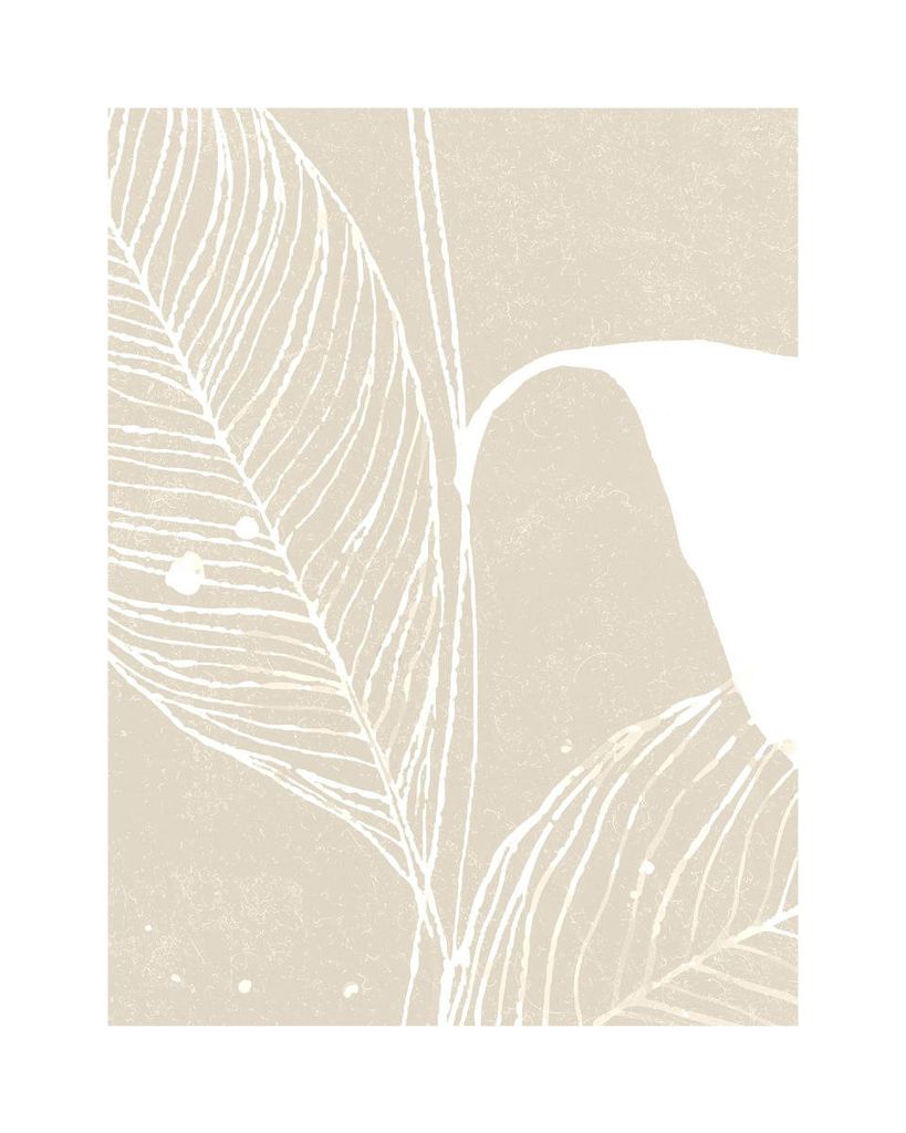 Poster - Neutral Plant 2 40x50 - Dear Sam