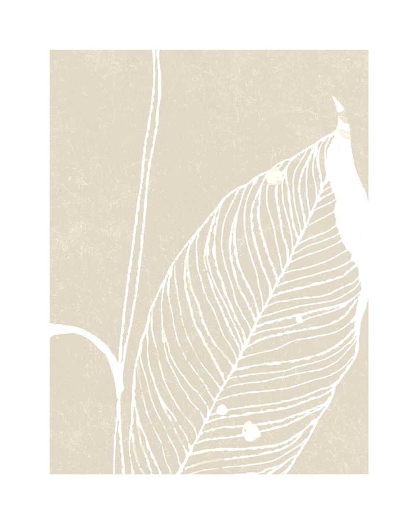 Poster - Neutral Plant 3 40x50 - Dear Sam