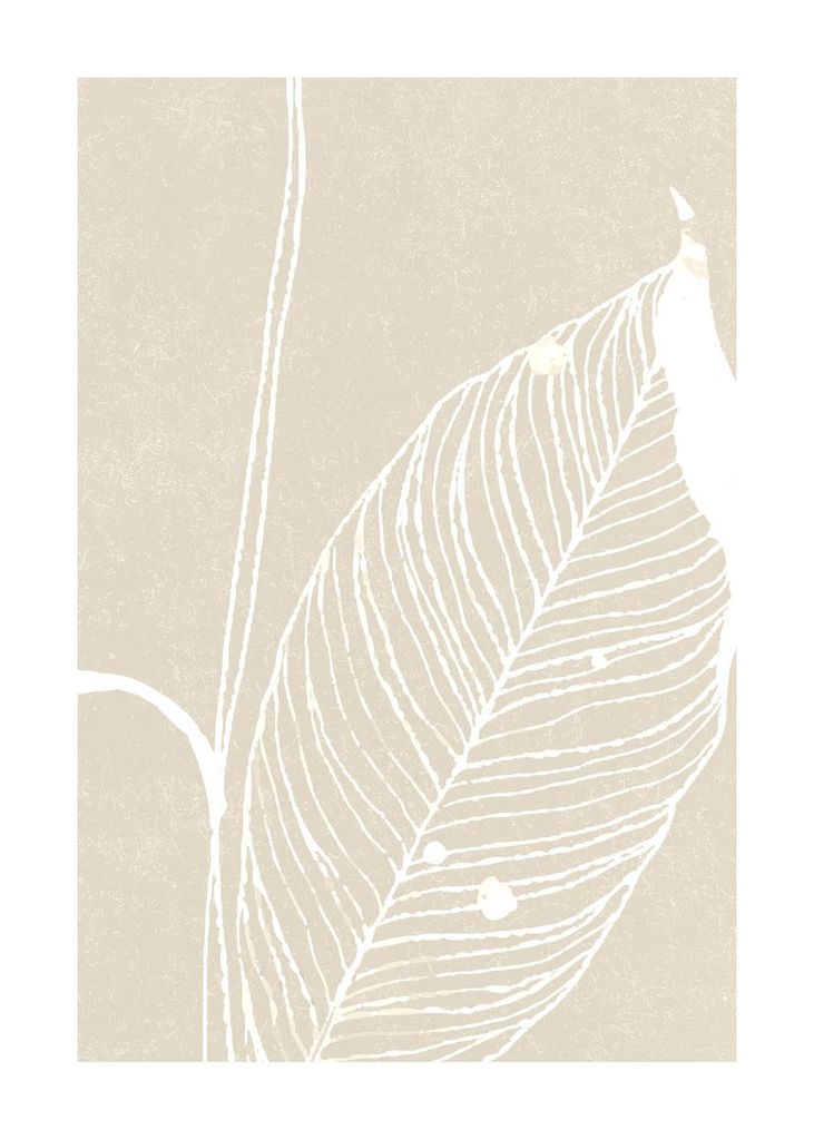 Poster - Neutral Plant 3 50x70 - Dear Sam