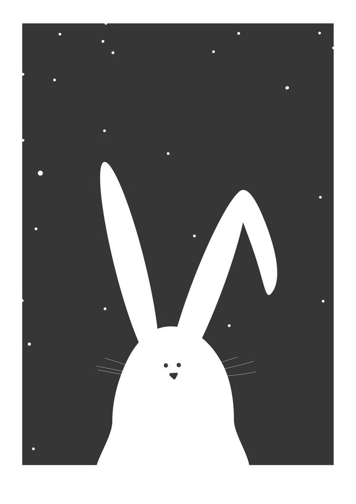 Poster - Night Rabbit 21x30 - Dear Sam