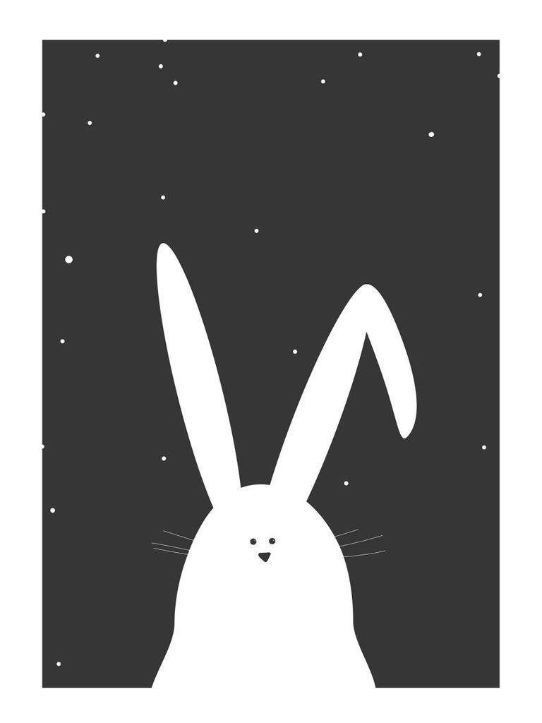 Poster - Night Rabbit 30x40 - Dear Sam