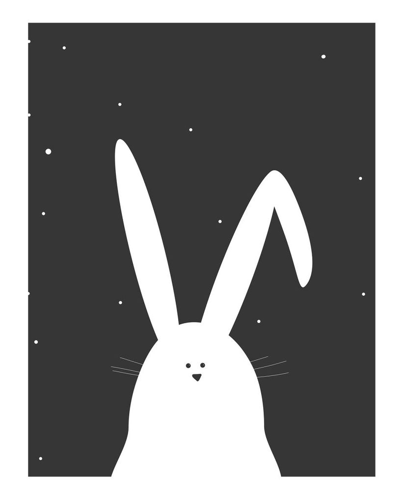 Poster - Night Rabbit 40x50 - Dear Sam