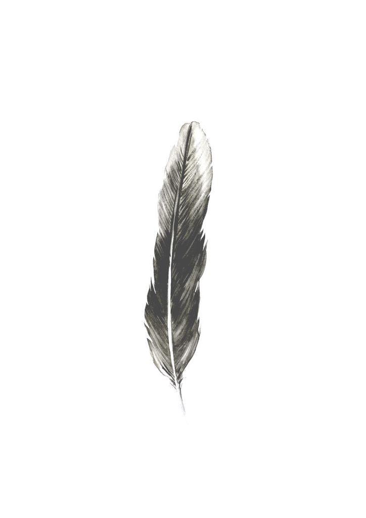 Poster - Oh Feather! 21x30 - Dear Sam