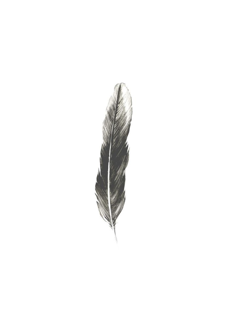 Poster - Oh Feather! 30x40 - Dear Sam