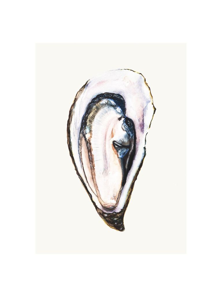 Poster - Oyster 30x40 - Dear Sam