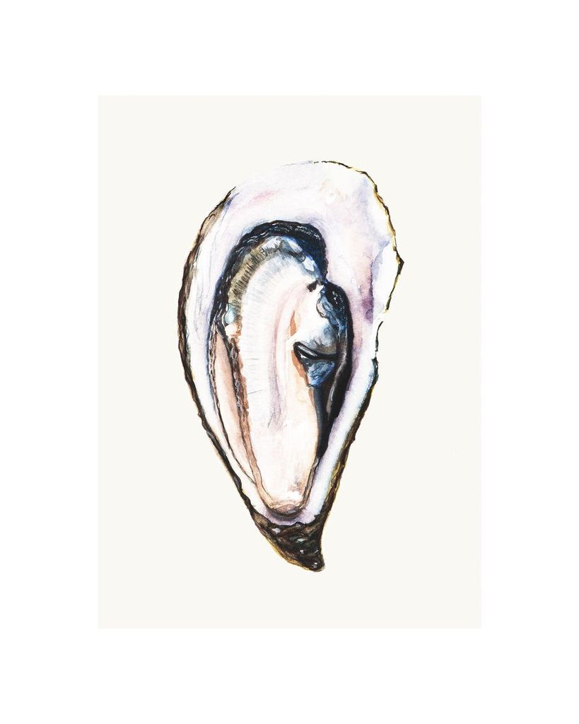 Poster - Oyster 40x50 - Dear Sam