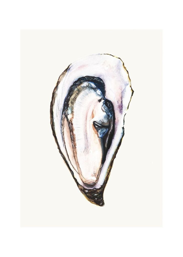 Poster - Oyster 50x70 - Dear Sam