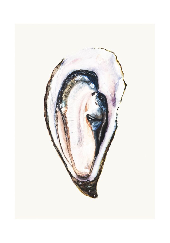Poster - Oyster 70x100 - Dear Sam