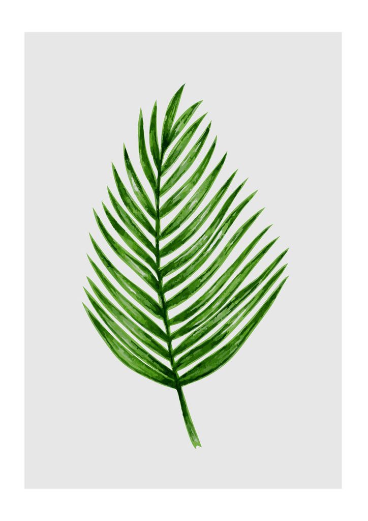 Poster - Palm Leaf Illustration 21x30 - Dear Sam