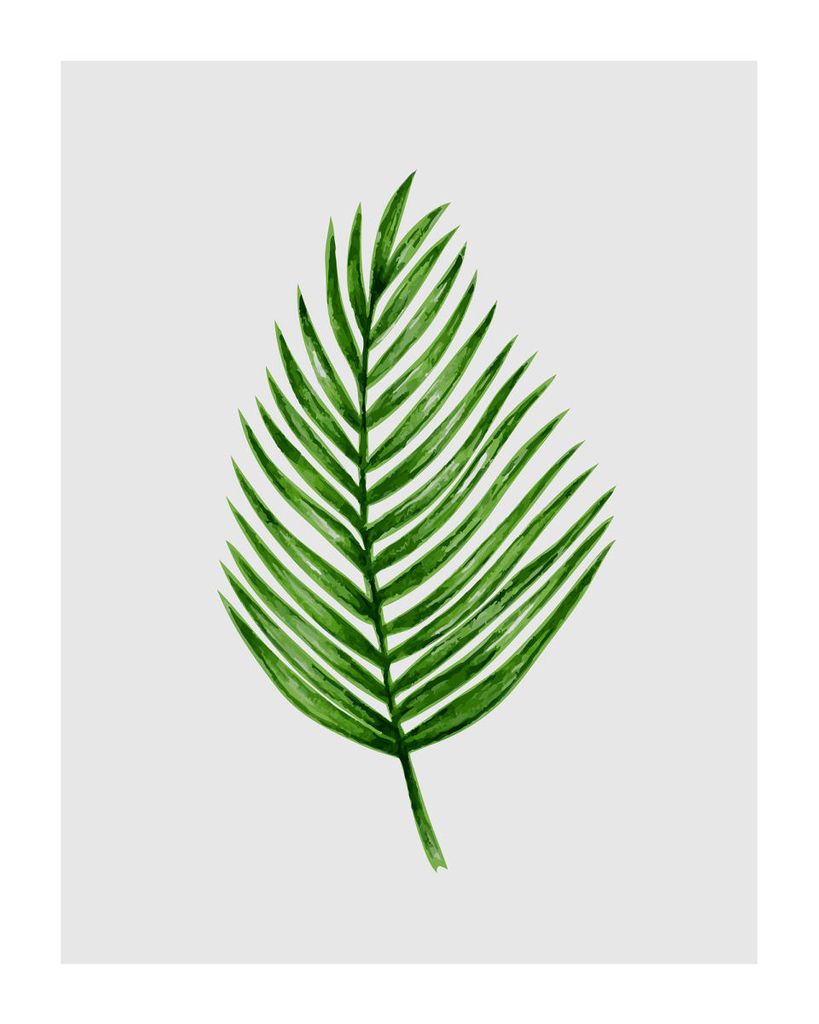 Poster - Palm Leaf Illustration 40x50 - Dear Sam