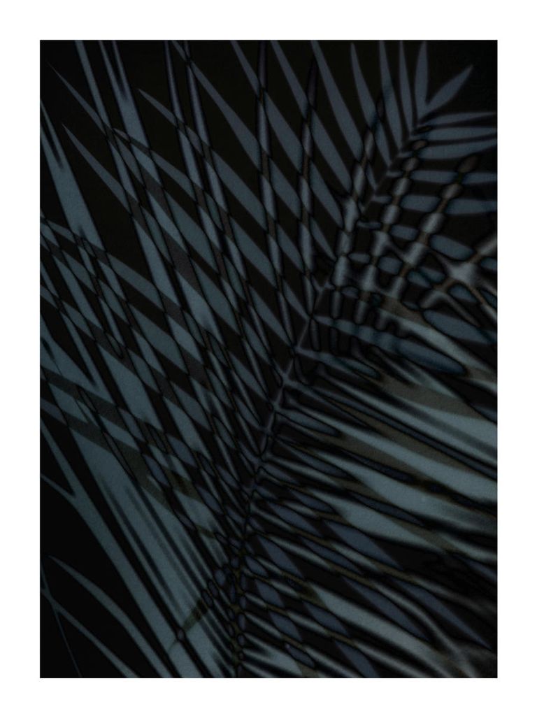 Poster - Palm Shadow Us 30x40 - Dear Sam