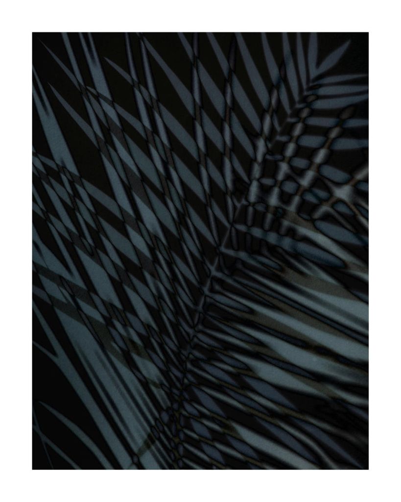 Poster - Palm Shadow Us 40x50 - Dear Sam