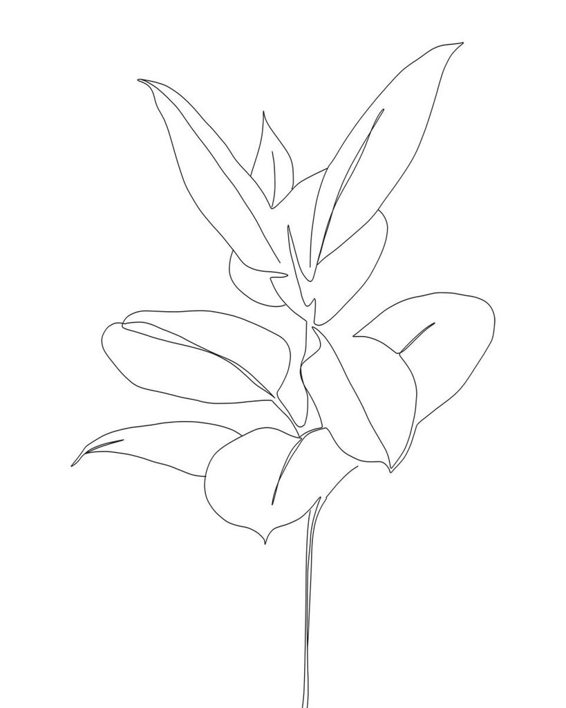 Poster - Plant Blueprint 40x50 - Dear Sam