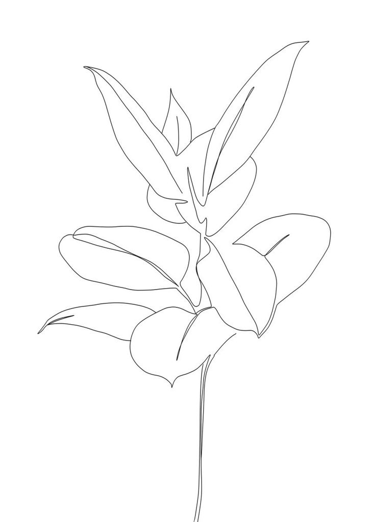 Poster - Plant Blueprint 50x70 - Dear Sam
