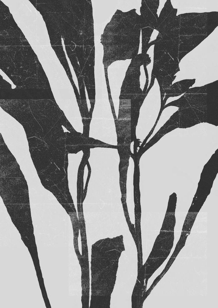 Poster - Pressed One 21x30 - Dear Sam