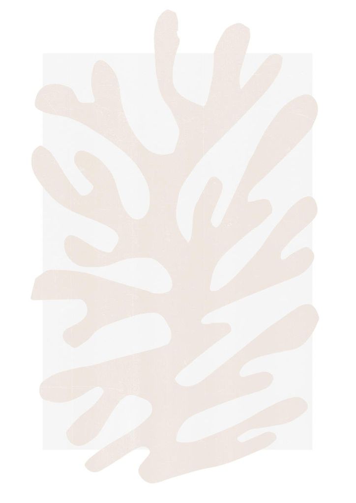 Poster - Refurbished Matisse 5 21x30 - Dear Sam