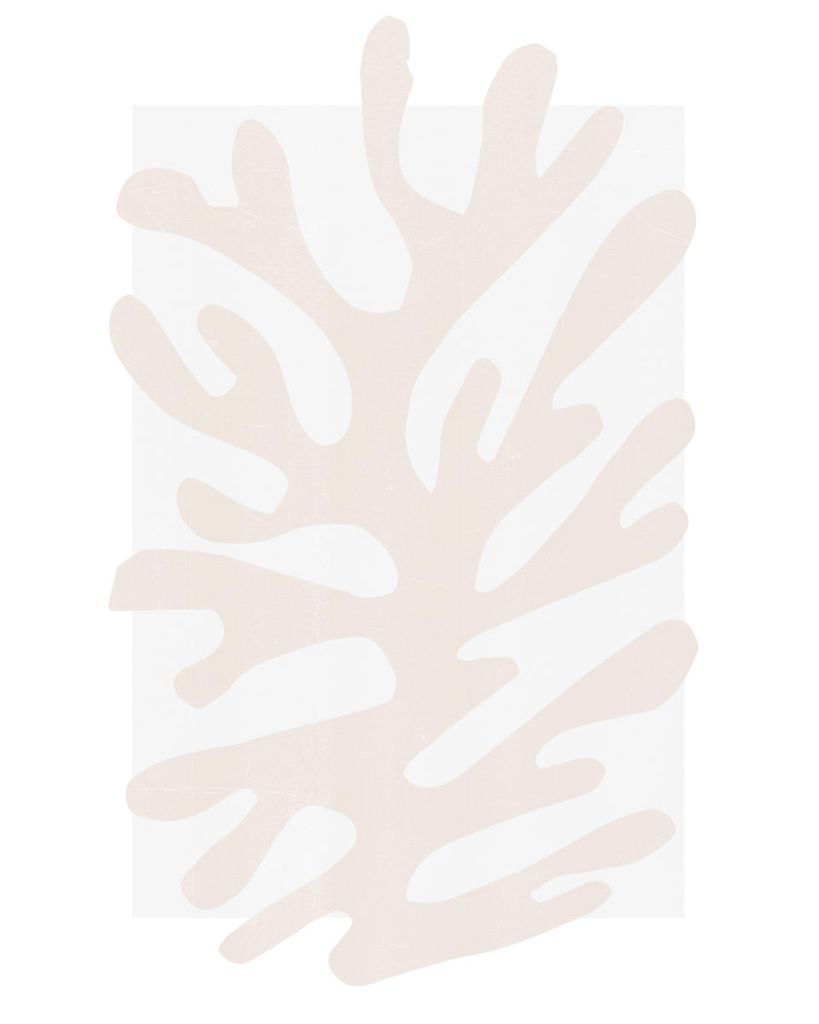 Poster - Refurbished Matisse 5 40x50 - Dear Sam