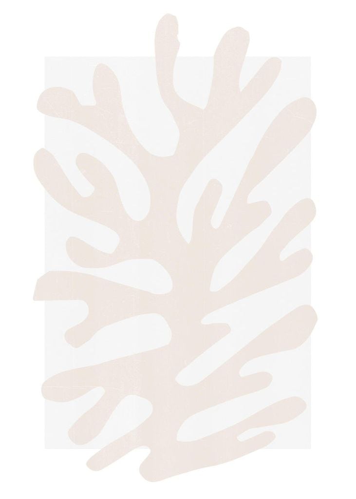 Poster - Refurbished Matisse 5 50x70 - Dear Sam