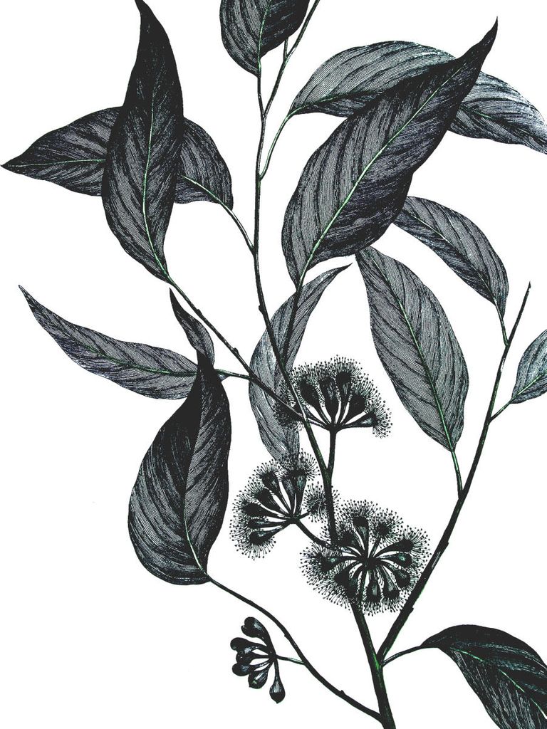 Plakat - Refurnished Vintage Wild Eucalyptus 30x40 - Dear Sam
