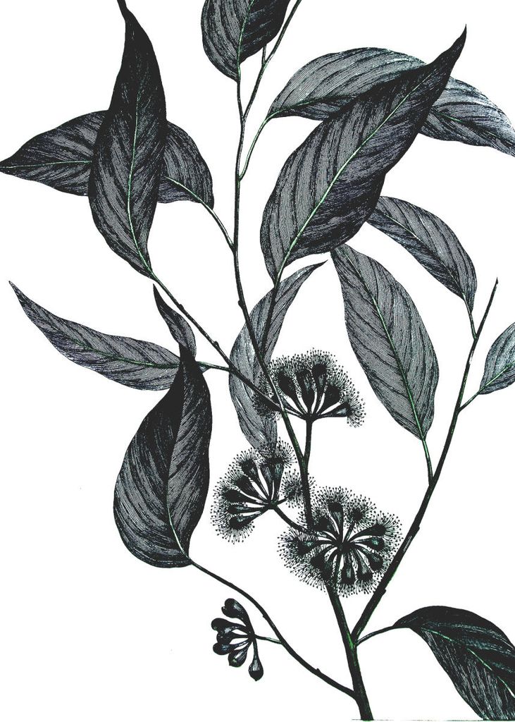 Plakat - Refurnished Vintage Wild Eucalyptus 50x70 - Dear Sam