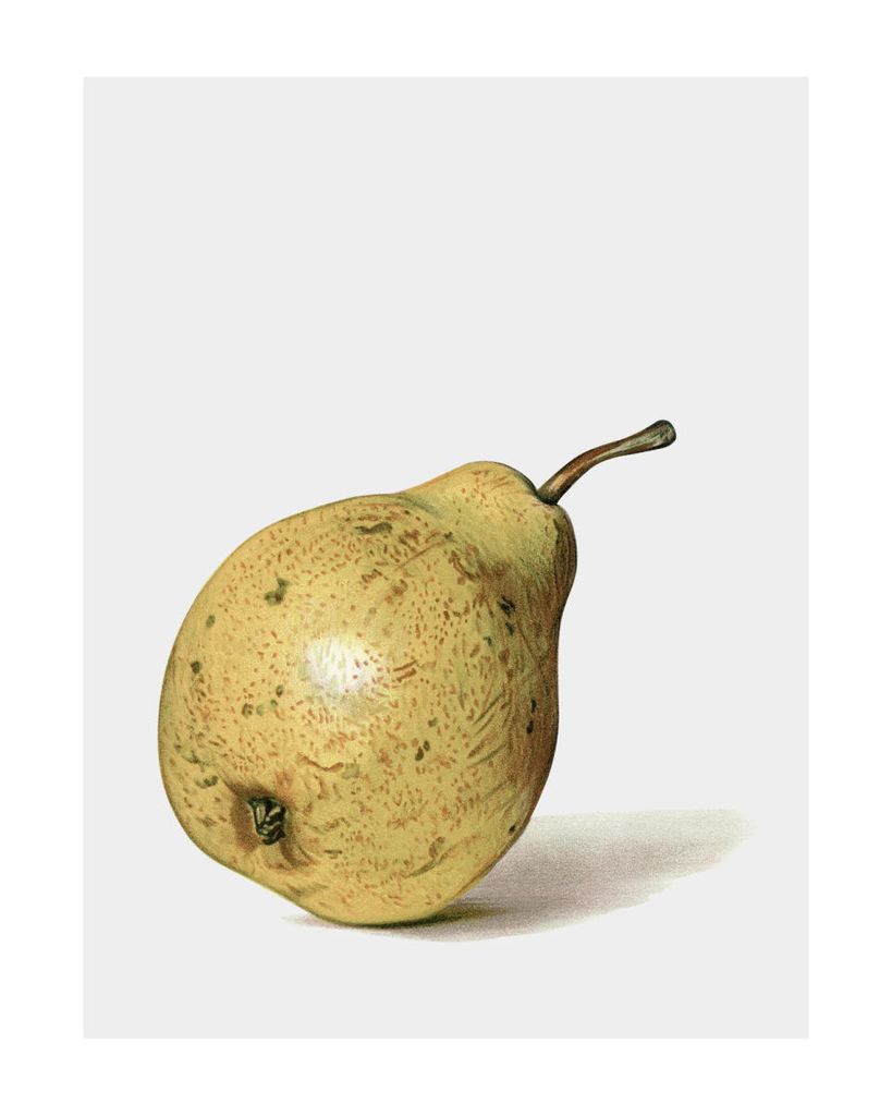 Poster - Ripe Pear 40x50 - Dear Sam