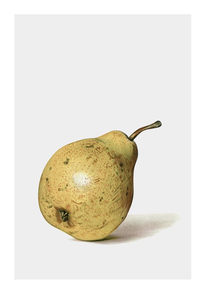 Poster - Ripe Pear 70x100 - Dear Sam