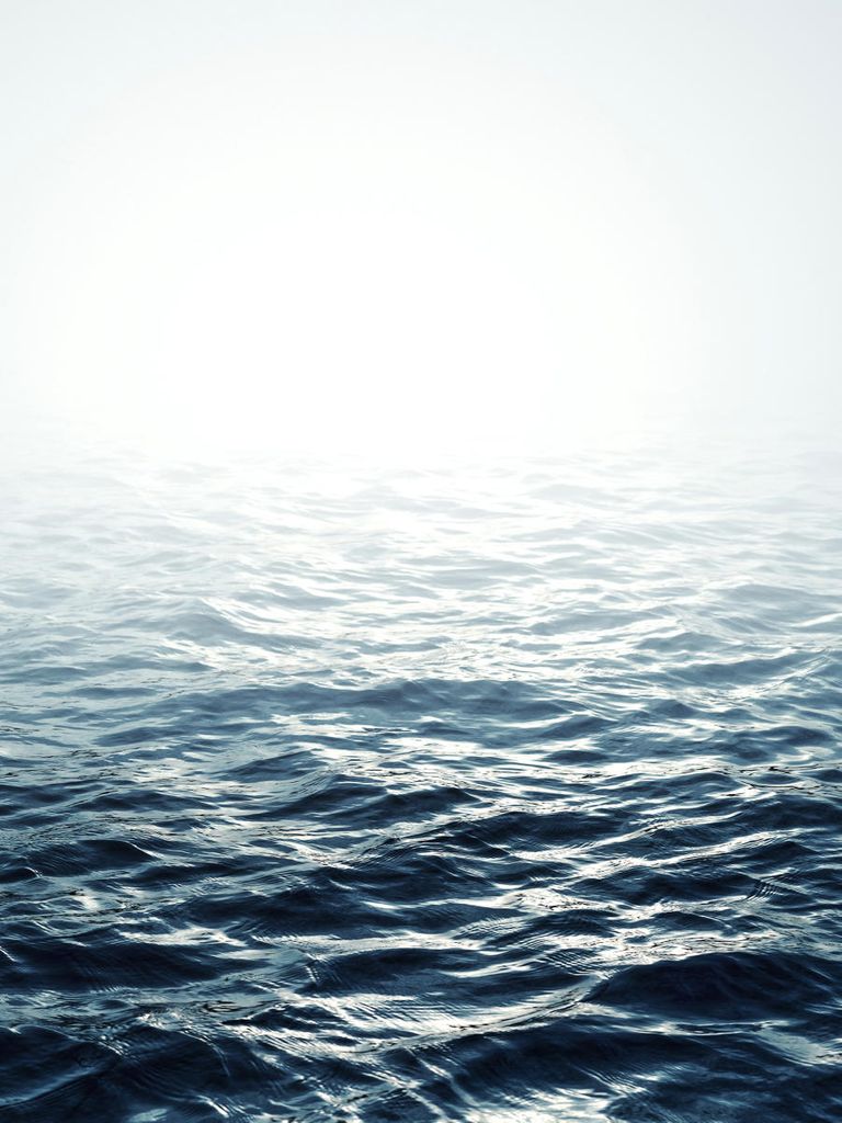 Poster - Sea Horizon 30x40 - Dear Sam
