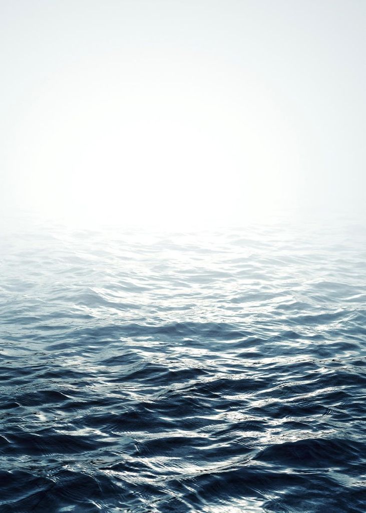 Poster - Sea Horizon 50x70 - Dear Sam