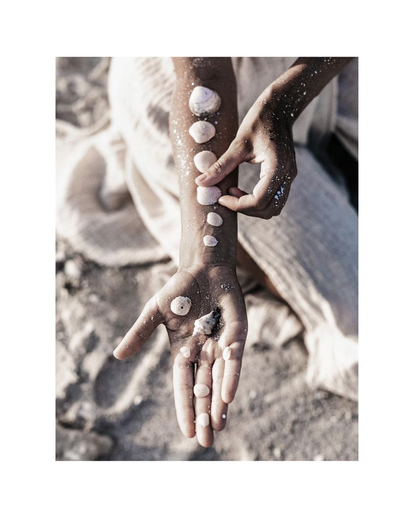 Plakat - Shells 40x50 - Dear Sam
