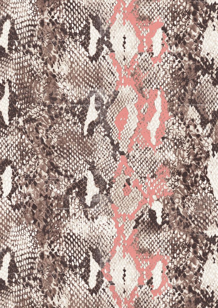 Poster - Snakeskin 21x30 - Dear Sam