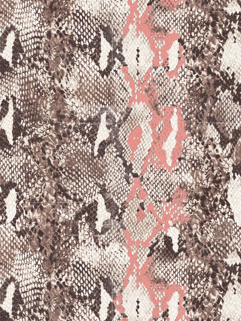 Poster - Snakeskin 30x40 - Dear Sam