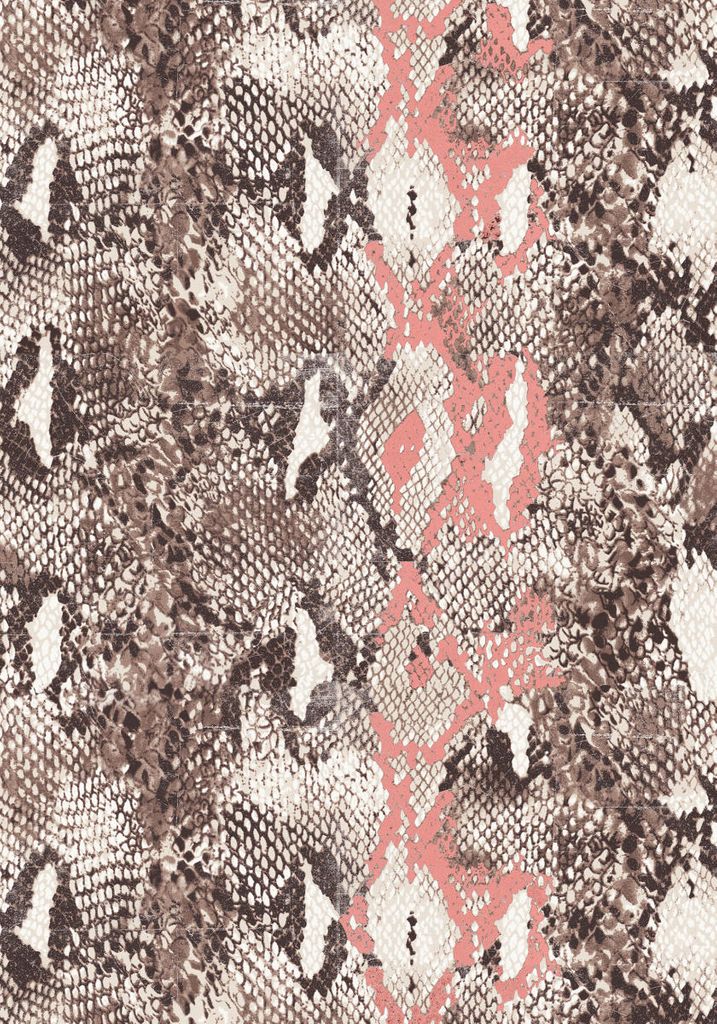 Poster - Snakeskin 70x100 - Dear Sam