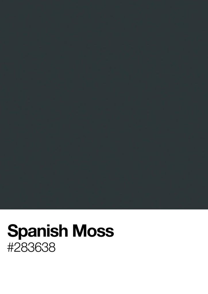 Poster - Spanish Moss 21x30 - Dear Sam