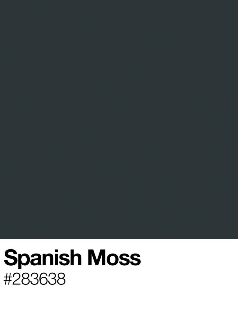 Poster - Spanish Moss 30x40 - Dear Sam
