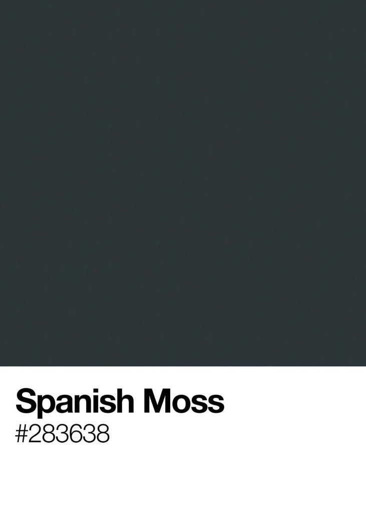 Poster - Spanish Moss 50x70 - Dear Sam