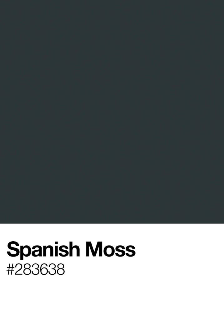 Poster - Spanish Moss 70x100 - Dear Sam