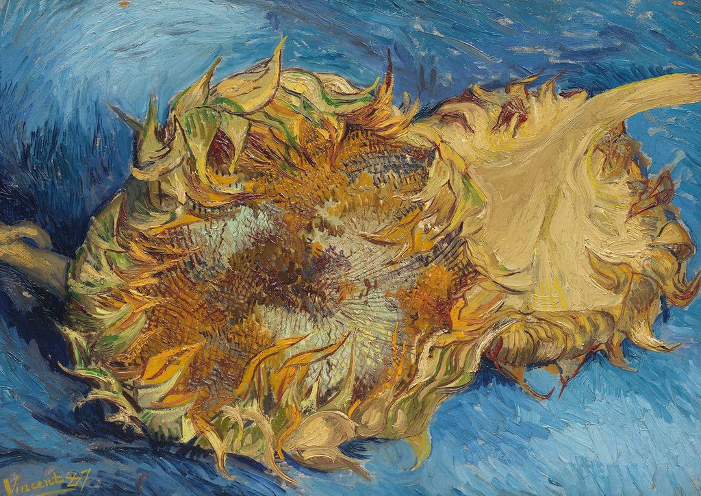 Poster - Sunflowers By Van Gogh 30x21 - Dear Sam